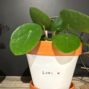 Pot en terre message « love » avec plante Pilea