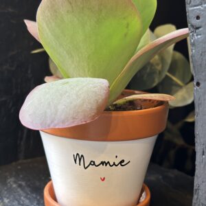 Pot message Mamie ❤️